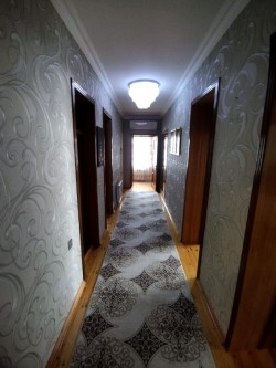 image 310606