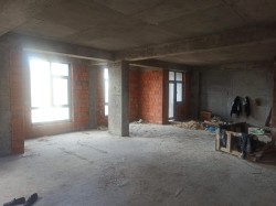 image 310648