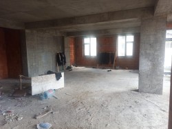 image 310648