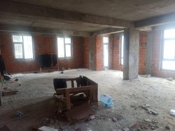 image 310648
