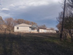 image 310659