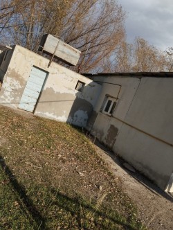 image 310659