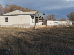image 310659