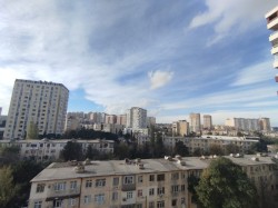 image 310662