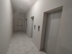 image 310662