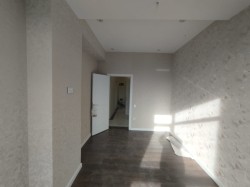 image 310662