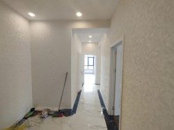 image 310662