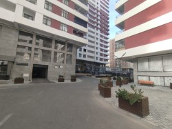 image 310662