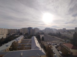 image 310662
