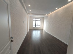 image 310662