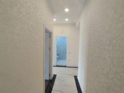 image 310662