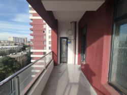 image 310662