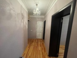 image 310663
