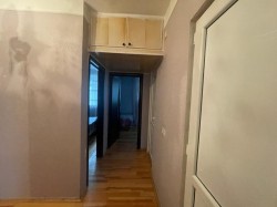image 310663