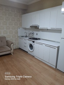 image 310689