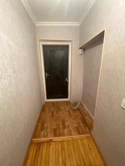 image 310695