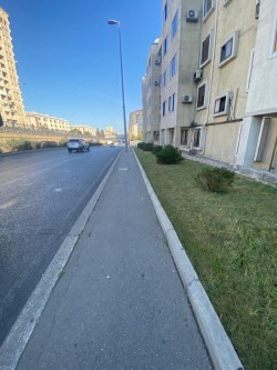 image 310695