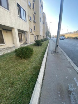 image 310695