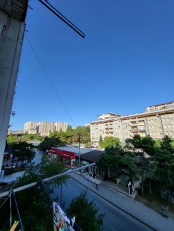 image 310700