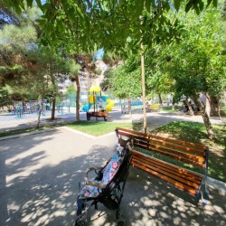 image 310700