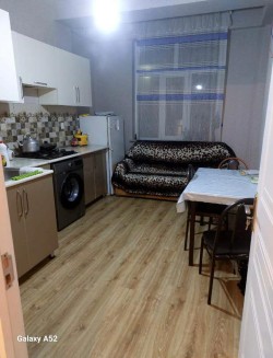 image 310742