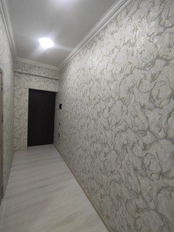 image 310745