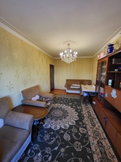 image 310747