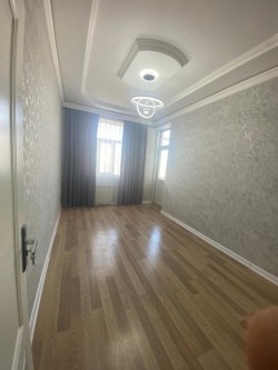 image 310753