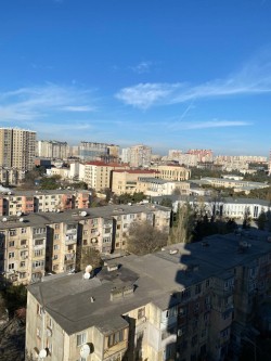 image 310753