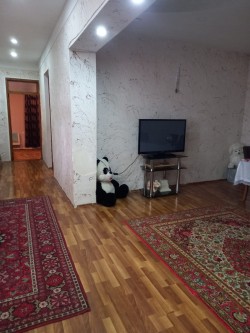 image 310759