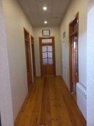 image 310769