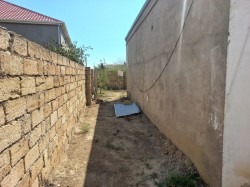 image 310769