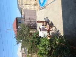 image 310769