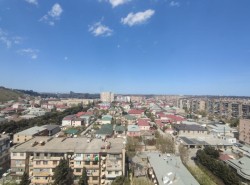 image 310790