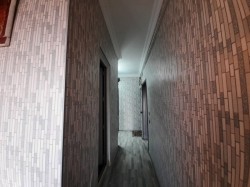image 310807