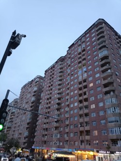image 310864