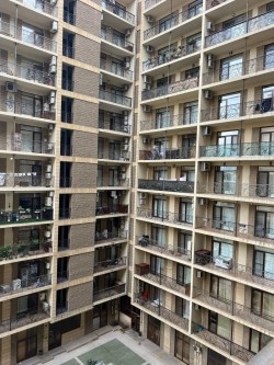 image 310879