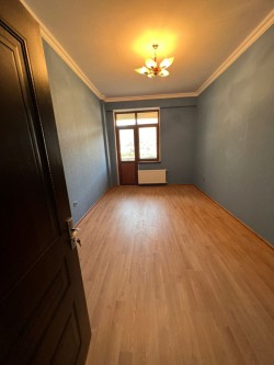 image 310880