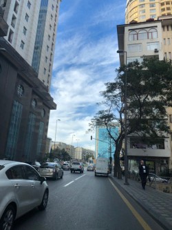 image 310882