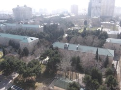 image 310895