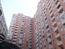 image 310895