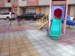 image 310895