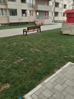 image 310936