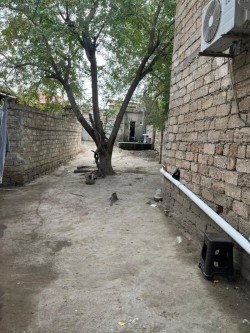 image 310959