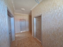 image 310961