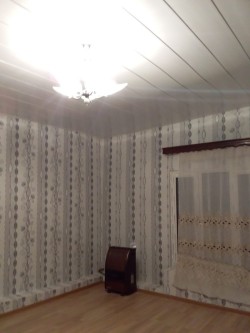 image 310976