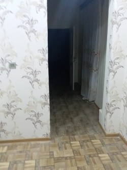 image 310976