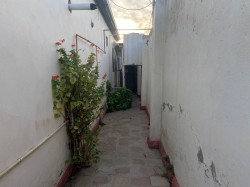 image 310982