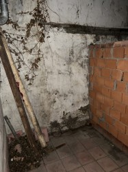 image 311008