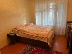 image 311013